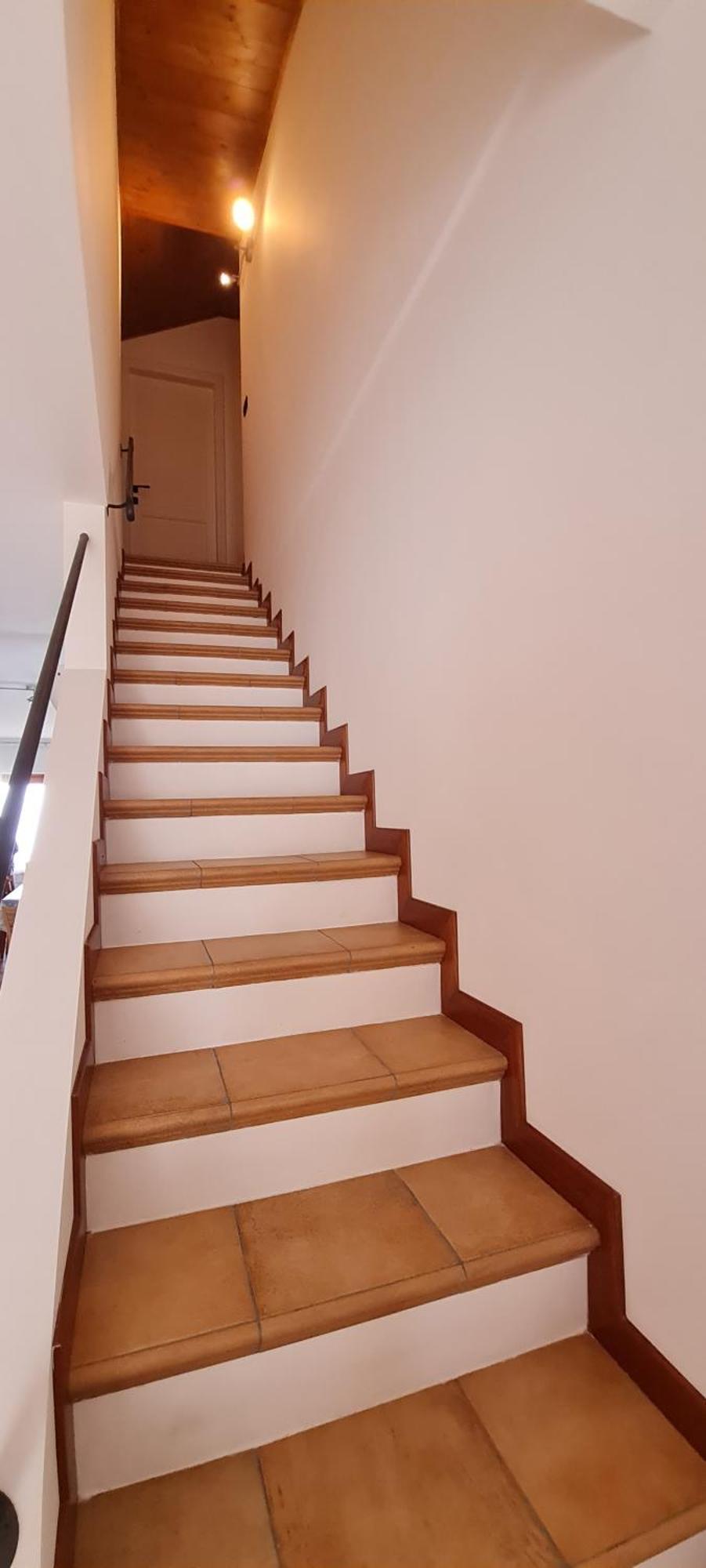 Belvedere B Apartment
